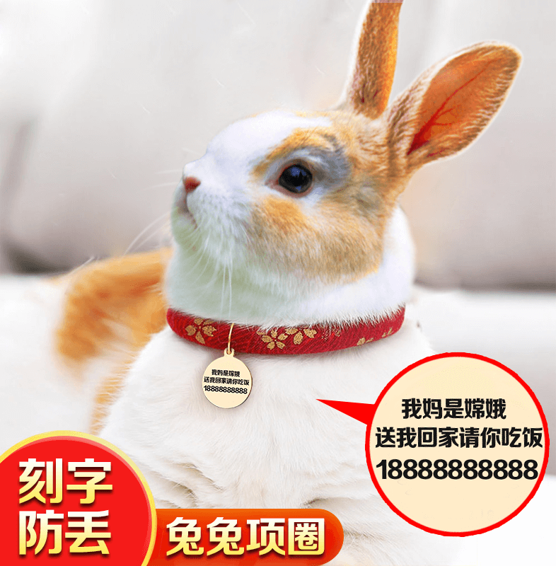 Rabbit Item Circle with bell Rabbit Rabbit Anti-Loss Card Dwarf rabbit scarf Neck Decorative Supplies Pet Cat Neck Ring Lettering Pendant
