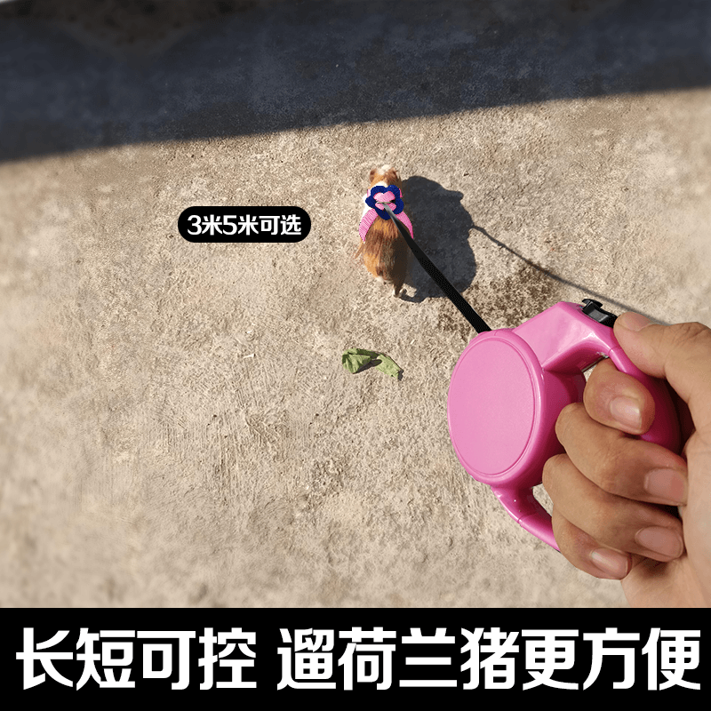 Dutch pig special traction rope Dragon Cat Thorn catnip Hedgehog Vest Style Small Pampers Special Out for a Bent Rope Bite Anti-Fracture Chain