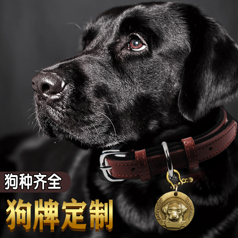 Dog card Custom anti-lose identity card with item ring Large dog anti-drop puppy lettering hanging card genuine leather dog neck ring