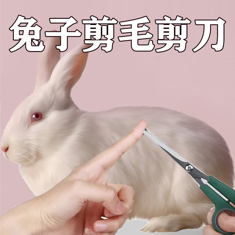 Angora Rabbit Grooming Kit