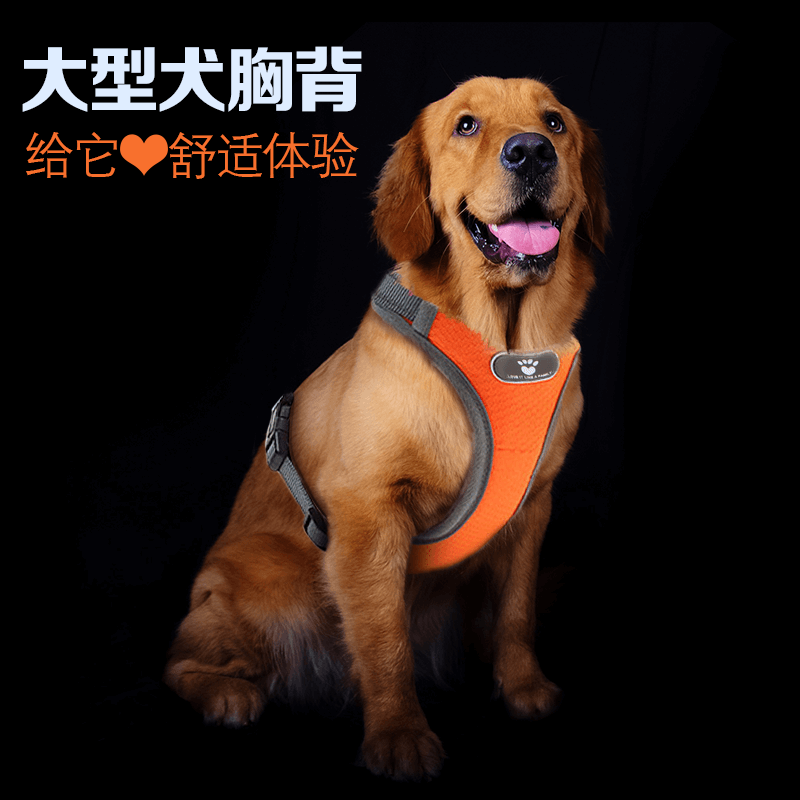 Dog breast-holding baby bag Large canine wool Labrador Traction Rope Vest Style summer Haerschi Dog Necklace anti-bite