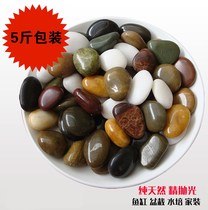 Home Clothing Landscape Home Seed Flowers Potted Bonsai Indoor Fish Tank Cobblestone Stones to decorate small pebble cylinders