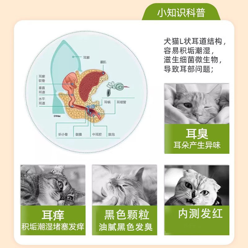 告别耳螨困扰,林爷爷猫咪洗耳液来帮忙👂🌿-耳部清洁-淘宝好物网
