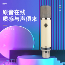 EXD M251E New Large Diaphragm Capacitor Microphone Recording Entertainment Live K Song Special Microphone