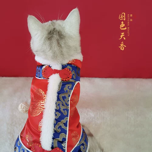 Праздничнный удерживающий тепло демисезонный пуховик, ципао для принцессы, китайский стиль