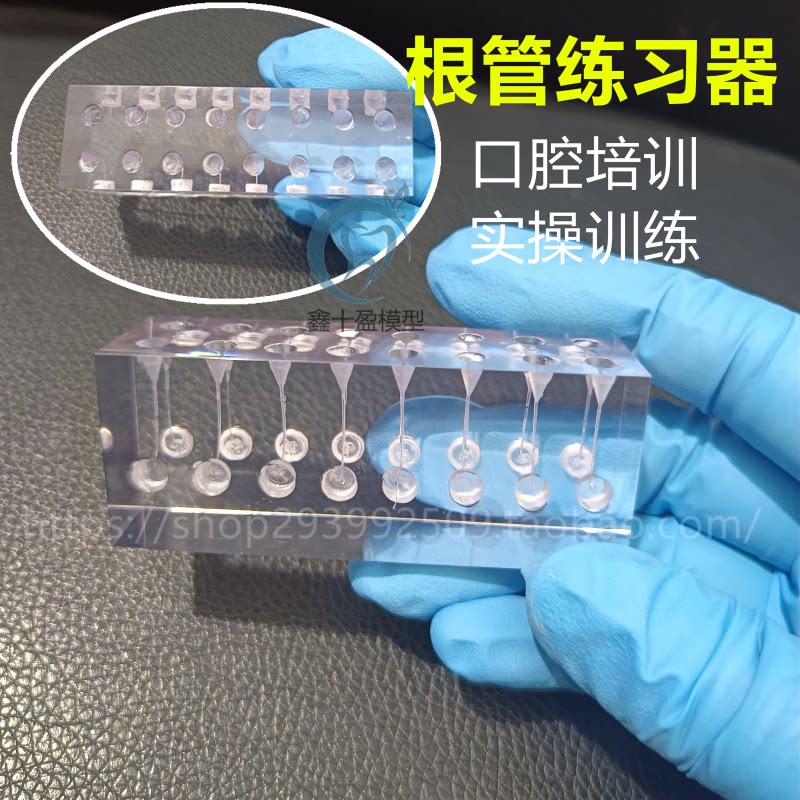 牙科根管练习器模块 模拟人体根管治疗练习新型教学模具 充填机扩