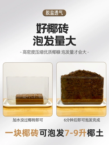 Кокосовое кирпичное питание Земля Посадка кокосовой кокосовой кокосовой кокосовой кокосовый кокосовый кирпич кирпич, соль, соль, цветок плохое значение
