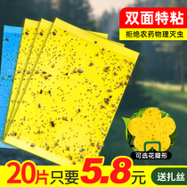 Armyworm board Greenhouse special yellow board double-sided small black fly fruit fly trap Yellow and blue insect trap board Agricultural household thrips