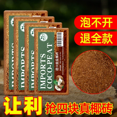 Кокосовое кирпичное питание Земля Посадка кокосовой кокосовой кокосовой кокосовой кокосовый кокосовый кирпич кирпич, соль, соль, цветок плохое значение