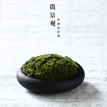 Creative flower pot micro landscape plant fresh moss ball green plant good maintenance office desktop moss small potted ornaments