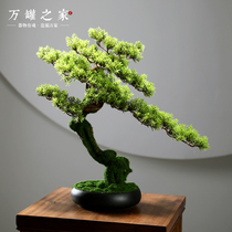 Creative simulation plant bonsai decoration Home decoration Office welcome pine fake tree model room landscape decoration