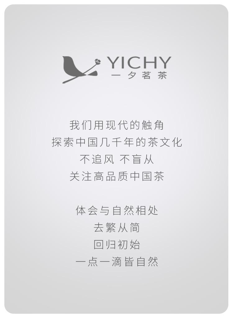 YICHY一夕水果茶茶包花茶