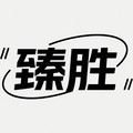 臻胜旗舰店