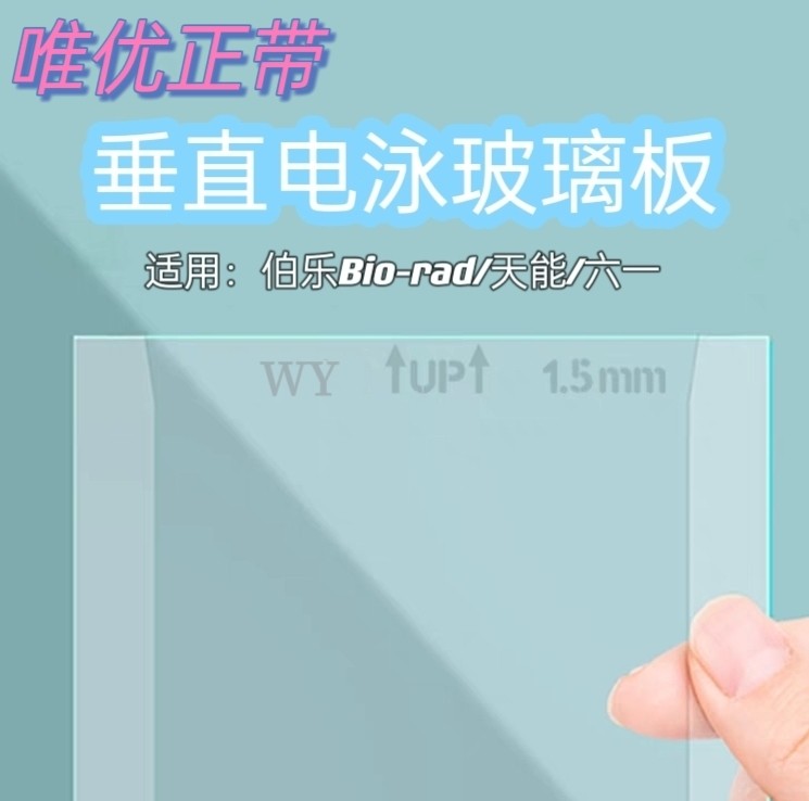 Western Blot玻璃板替代伯乐Bio-Rad WB电泳玻璃板 密封垫/支架