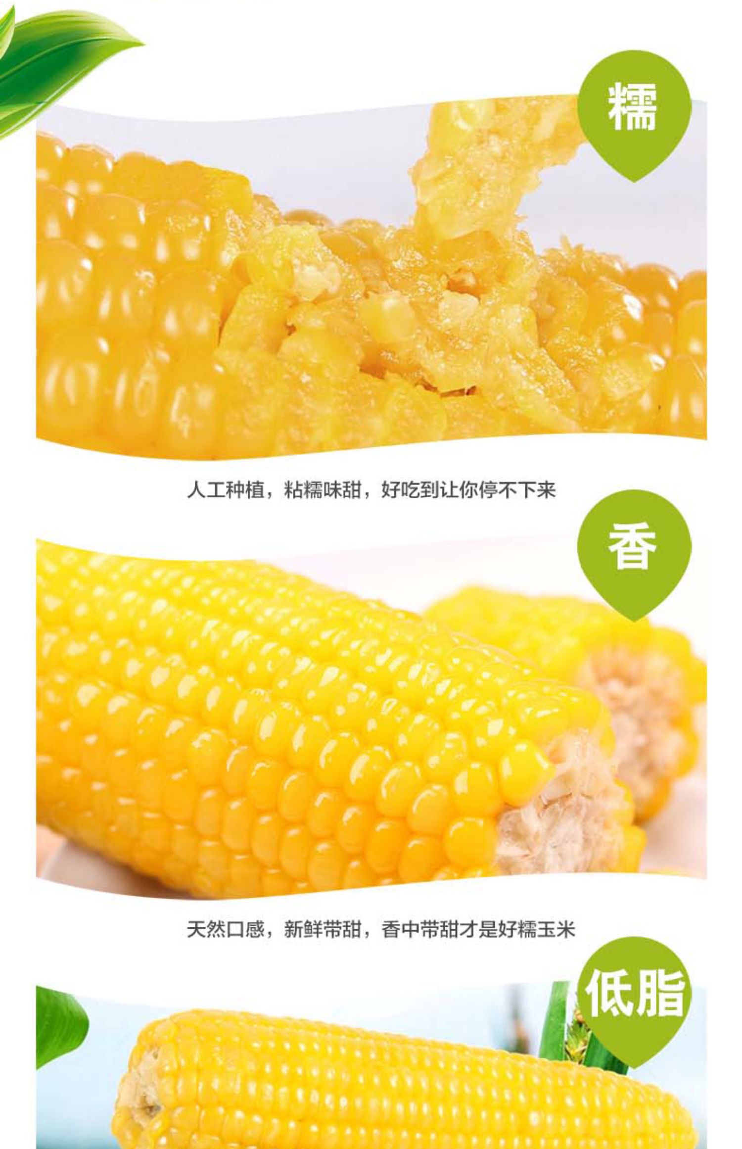 【农投康良】东北甜糯玉米220g*10棒