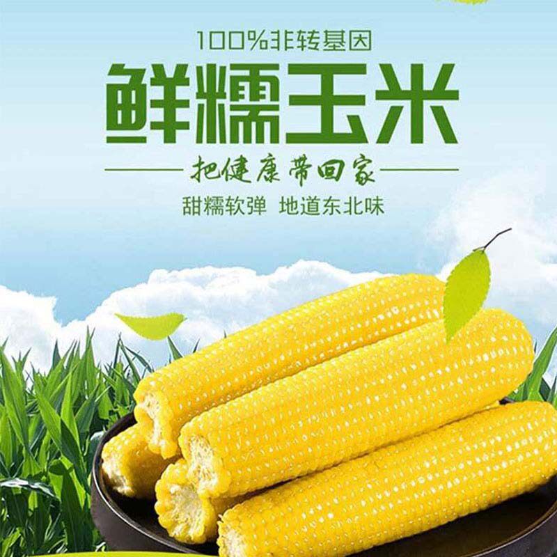农投康良 鲜糯玉米 170g*12支真空包装 天猫优惠券折后￥22.9包邮（￥39.9-17）