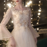 宴会高端伴娘晚礼服裙女气质香槟色声乐艺考主持人连衣裙小众轻奢