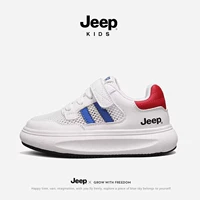 1668 БАЛИН [ОДИННАЯ СЕТИРОВАННАЯ МОДЕЛЯ]