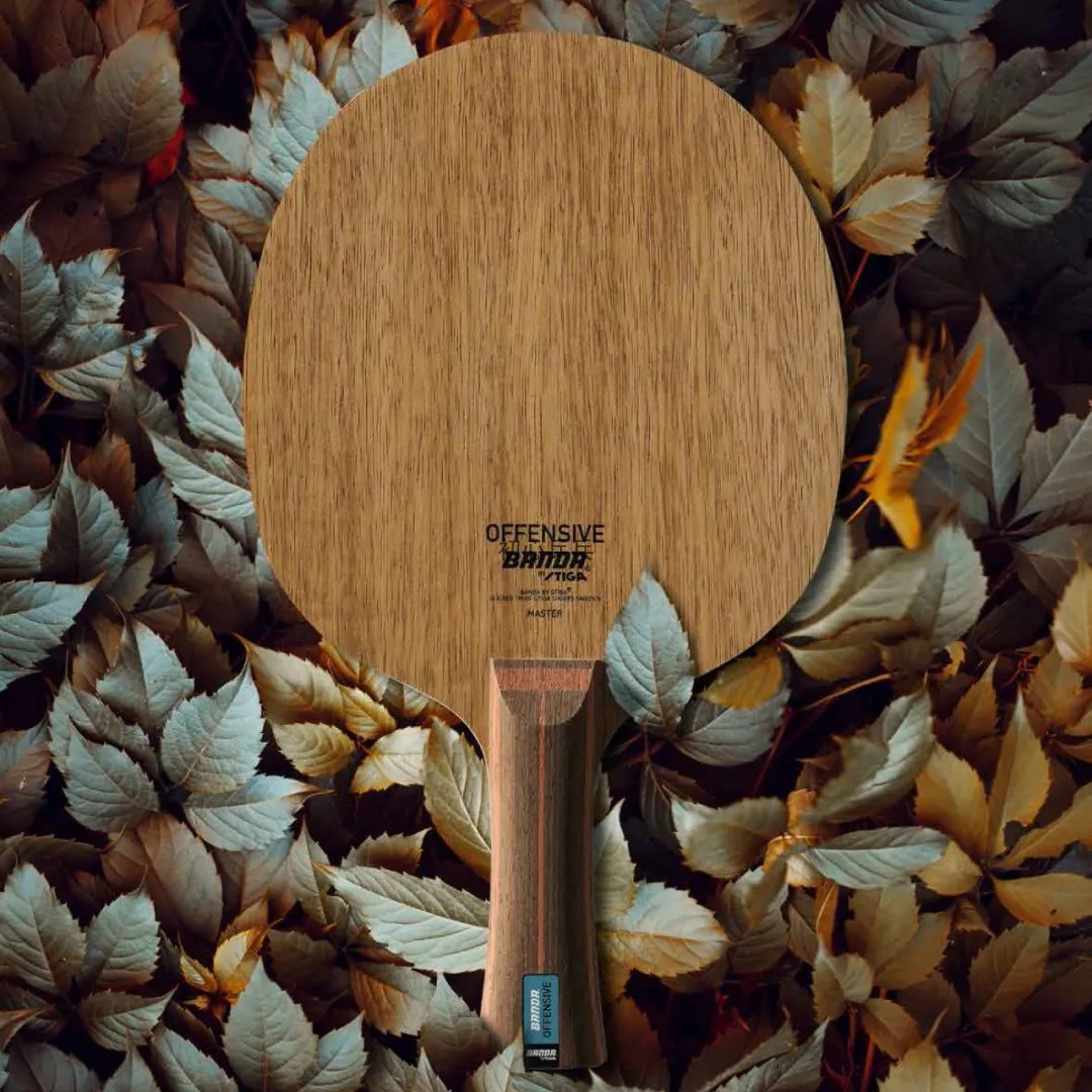 New STIGA Stiga banda Banda ALLROUND OFFENSIVE table tennis floor racket pure wood