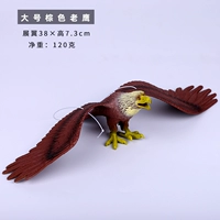 Большой орл -коричневый цвет