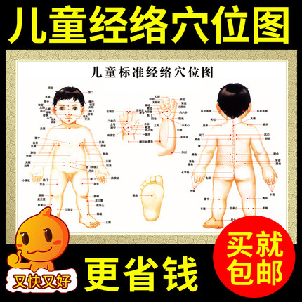 小儿推拿按摩经络穴位图挂图儿童男女人体穴位