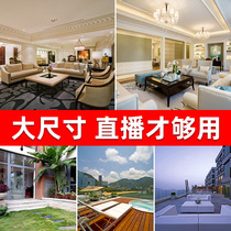 Live broadcast background cloth 3d stereo live broadcast room anchor net red decoration European-style room photo background wall panel removable hanging cloth high-definition sea view floor-to-ceiling windows custom high-end large size