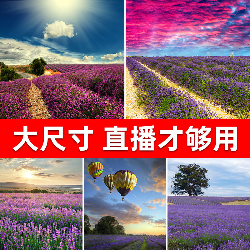 Scenery flower sea live broadcast background wall large size live broadcast background cloth 3d live broadcast room three-dimensional movable net red anchor background cloth decoration ins photography props photo background cloth 1 8x2 2 meters