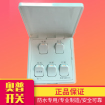 Opu Yuba 1021 special five-link switch 5-open original air heating lamp heating switch waterproof switch panel