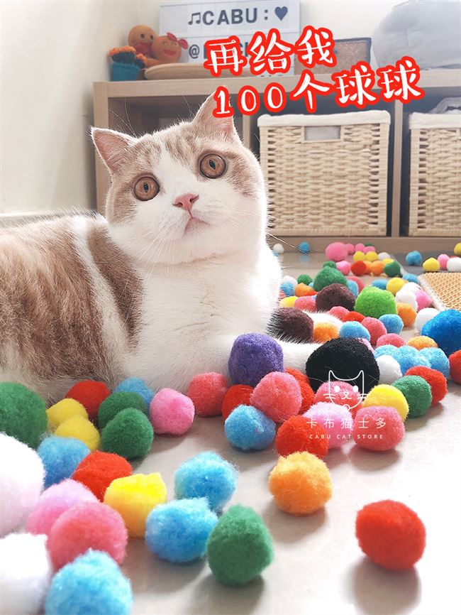 Nguồn cung cấp Vật nuôi Polypropylene Sang trọng Bóng mèo vui nhộn 100 Đồ chơi mèo con nhai Cắn vi bom 2020 - Mèo / Chó Đồ chơi