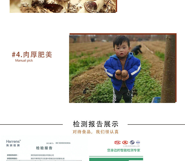 天然赤松茸 1000g 图10