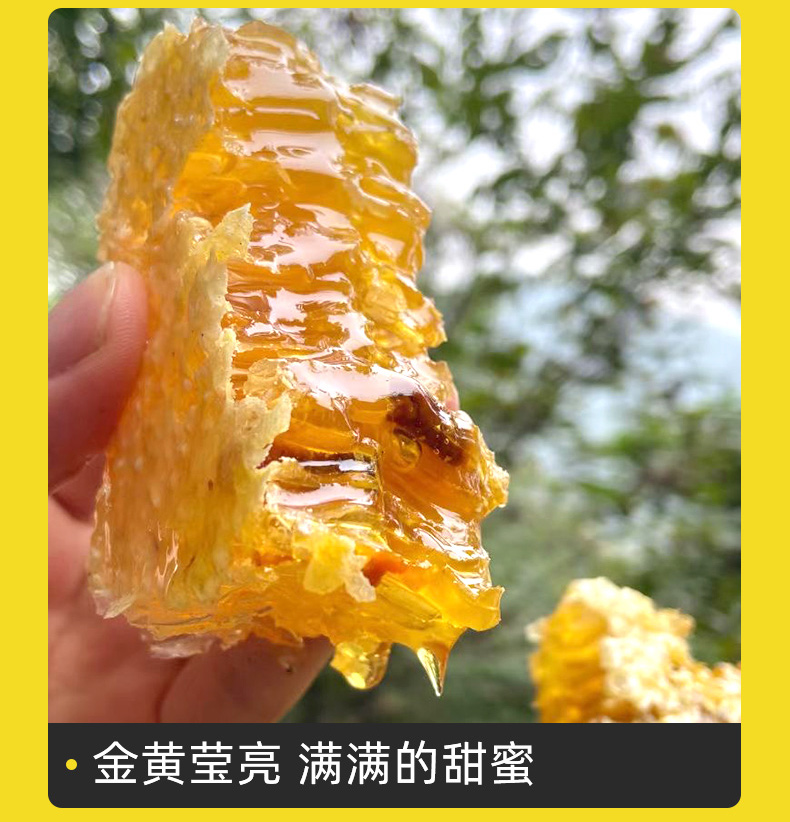 深山吴氏纯正农家百花蜂蜜450g