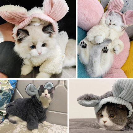 Pet Kitty Clothes Small Cat Infant Cat Milk Cat Warm Clothes Thickened wearing hat Hood Small Dogs Autumn winter clothes