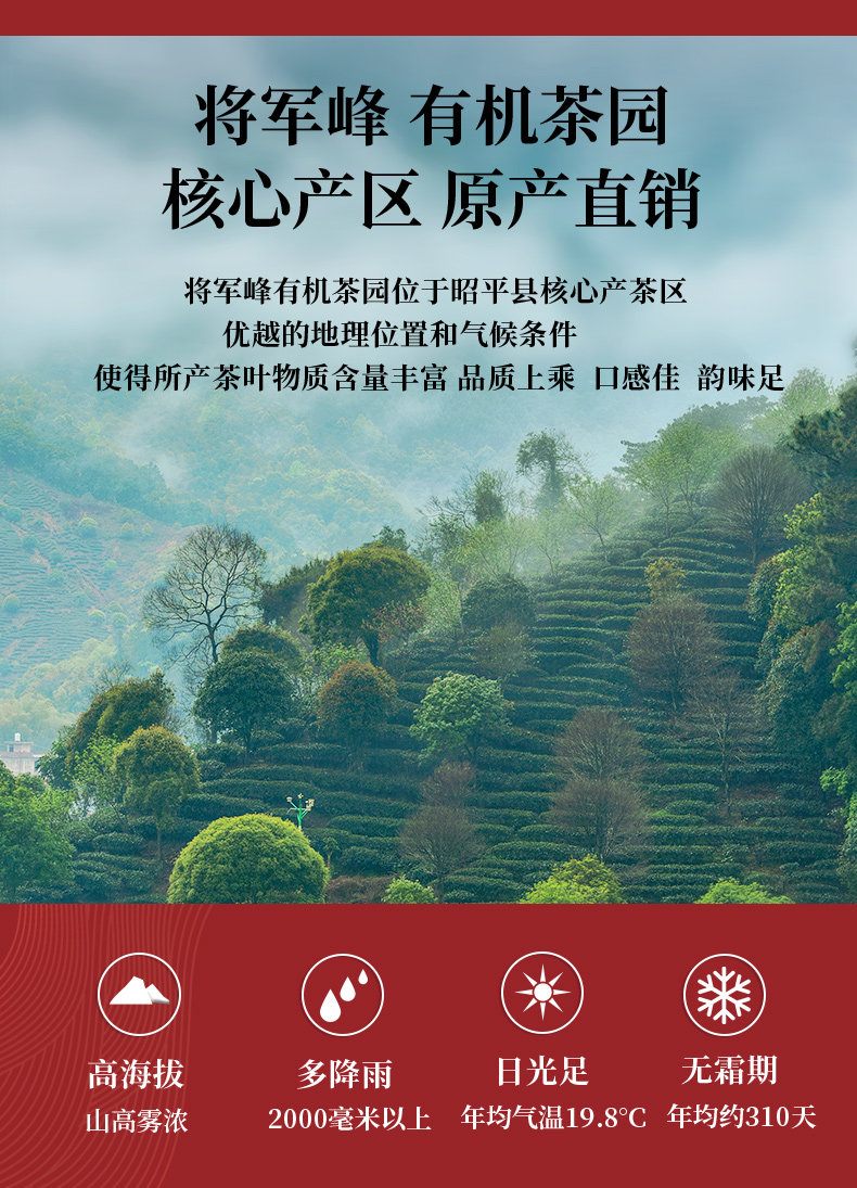 安享好物 安享A级红茶-将军峰有机红茶 国标 