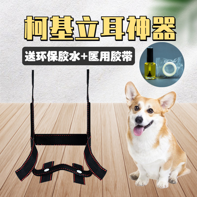 Kokie Lipper Divine Instrumental duct tape Puppy dog stand ear clip puppies dubine flying ear Tidi