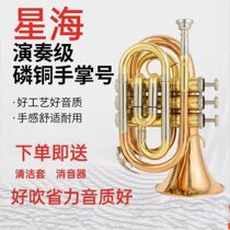 New Lacquer Gold Plated Nickel Star Sea Trumpet Instrument Palm Number Instrument Beginner Test Class