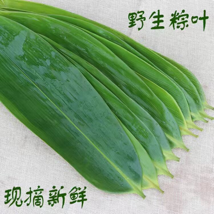 Rice dumplings Zongzi leaf dried fresh large number of rice dumplings Zongzi's leaves dried large rice dumplings extra-large natural bamboo leaves free of mail