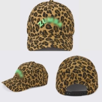 Hat-Leopard Pattern