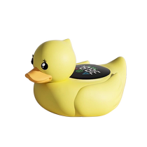 Fish tank special thermometer high-precision electronic display in the tank with external screen aquarium turtle tank water temperature measuring meter