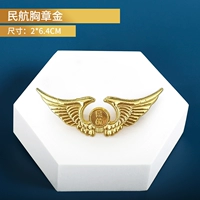 Гражданская авиационная сундука золото