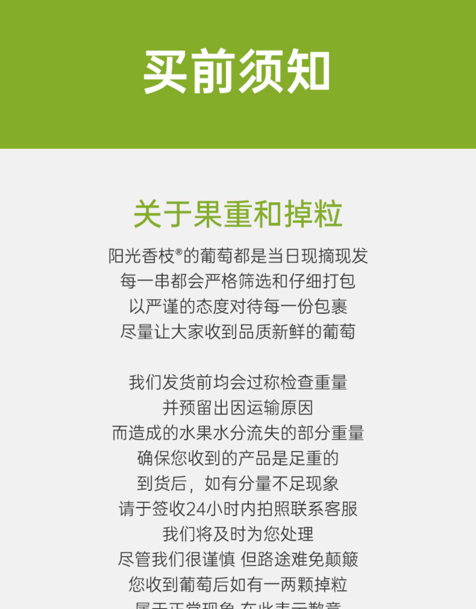 日本晴王品种 阳光玫瑰青提 3斤 图13