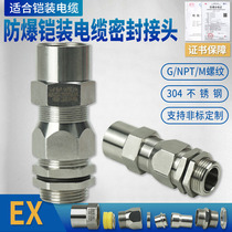 BDM explosion-proof armored cable seal clamping joint G3 4 stuffing box 304 stainless steel internal and external thread gland