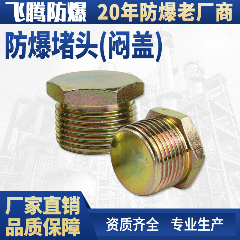 Explosion-proof plug 4 points 6 points DN15DN20 carbon steel galvanized outer hexagonal seal solid outer wire stuffy cover wire plugging head
