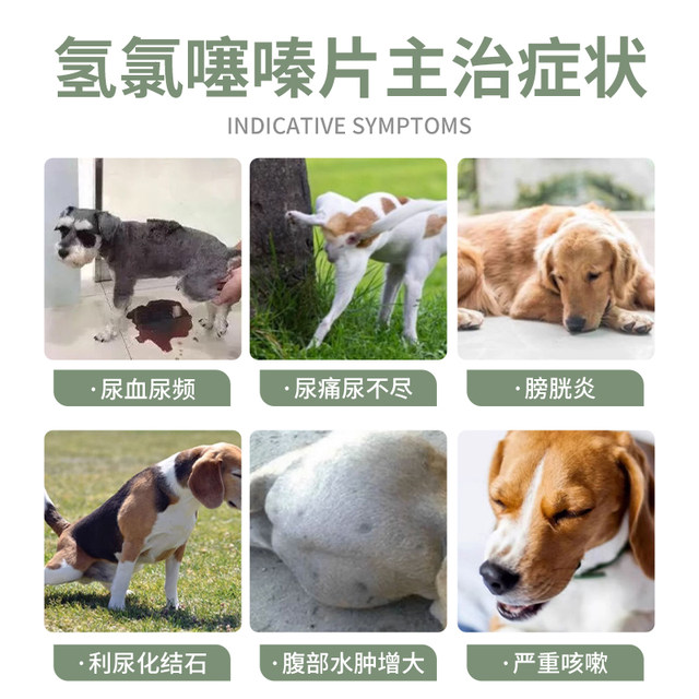 Ocanon pet diuretic furfur cat urine urine hematuria urinary tract infection thiophene dog cat urethritis ລະບົບຍ່ຽວ