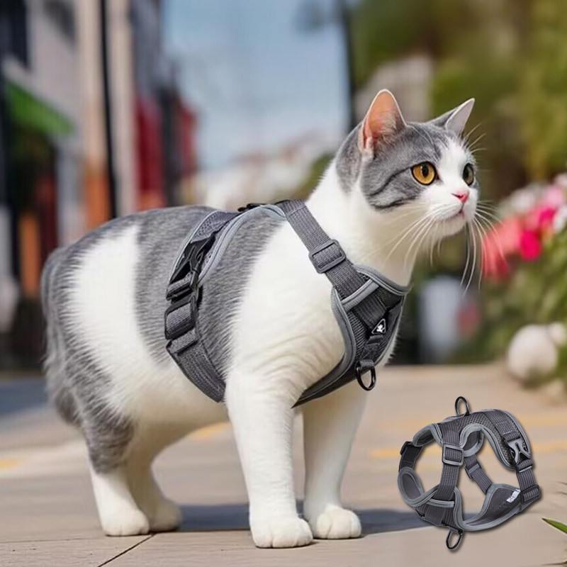 Cat leash vest style anti-breakaway british short blue and white ...