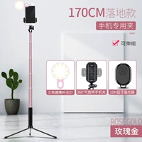 Лампа, металлический штатив, 1.70м, розовое золото, bluetooth, дистанционное управление