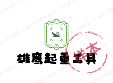 雄鹰起重工具的LOGO