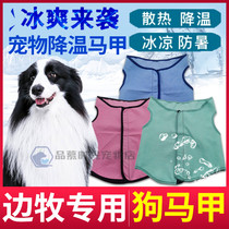 Side Pastoral Special Universal Pets Ice Cool Horse Chia Summer Dogs Clothes Cold Sensation Clothes Adjustable Theorizer Sunscreen Clothing