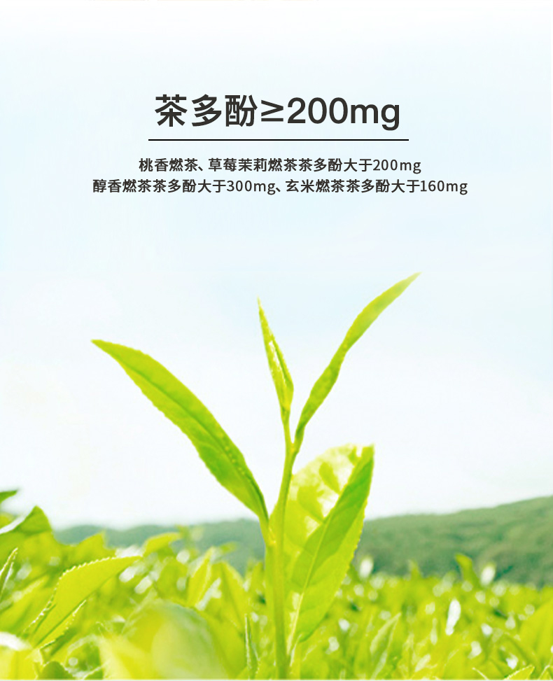 【陈飞宇同款】燃茶桃香无糖乌龙茶饮料15瓶