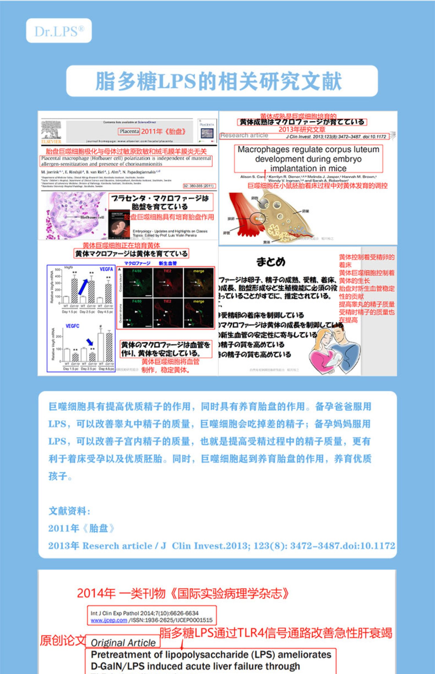 日本drlps增强型护成人肝片