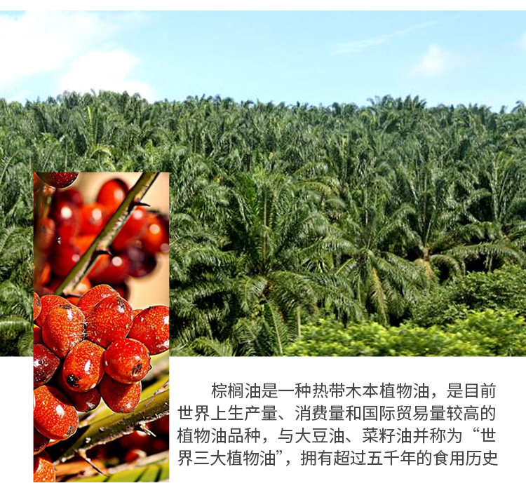 Цветок в Wange 42 Catties of Popcorn Oil_17.jpg